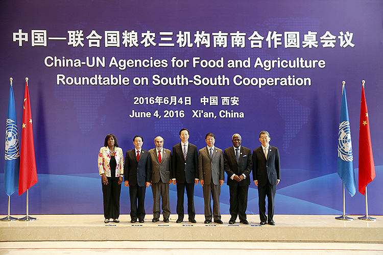 史耀斌出席中国联合国粮农三机构南南合作