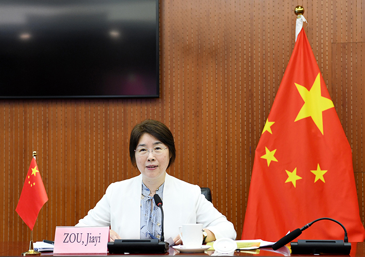 邹加怡出席ifc与中国私营部门合作历程视频研讨会