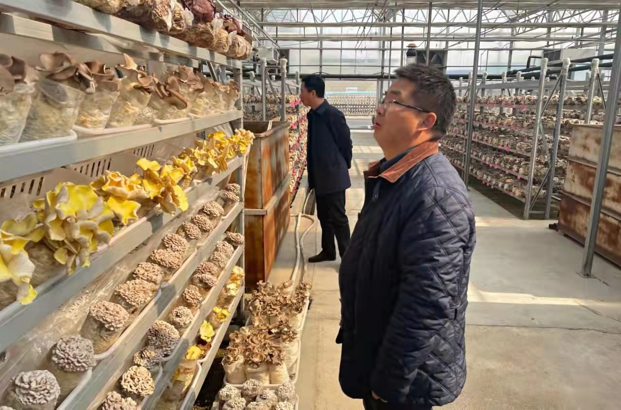 云南省永胜县财政局县委副书记胡振虎带队